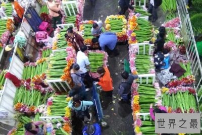 ​中国十大花卉批发市场，江苏上榜两处，第一是中国最大鲜切花市场