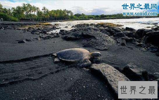 世界十大奇特海滩，梦幻与浪漫结合的撩妹圣地