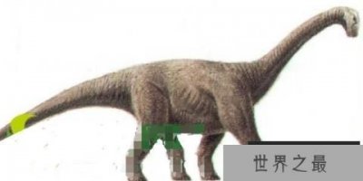 ​阿根廷大型食草恐龙：博纳巨龙，体长12米，生活在晚白垩世