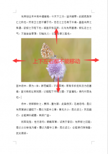 ​word图片不能随意移动（word图片不能随便移动）