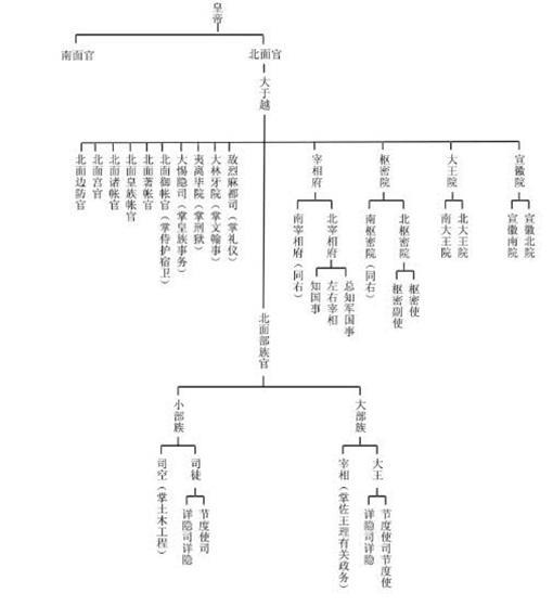 南院大王是哪个国家的官?