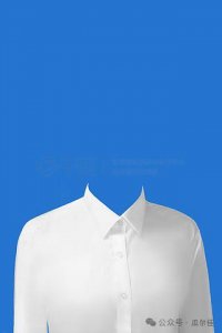 ​官场清一色的白衬衫，暴露出三个刺痛所有人的热点问题