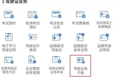 ​如何申请电子驾照？电子驾驶证怎么开通