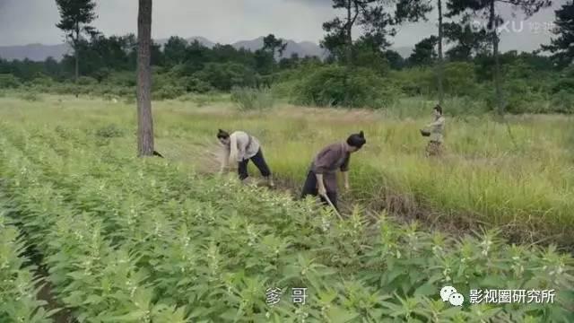 《军师联盟》怒赞中收官！剧中这7对CP啊，随便一对都太迷人！