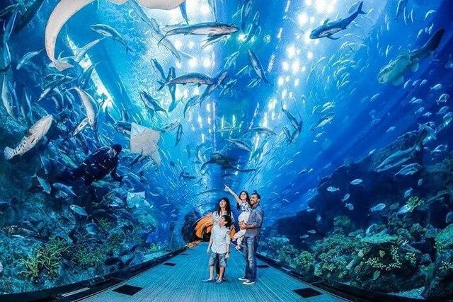 世界十大水族馆，最大的在中国，你一定想去看看