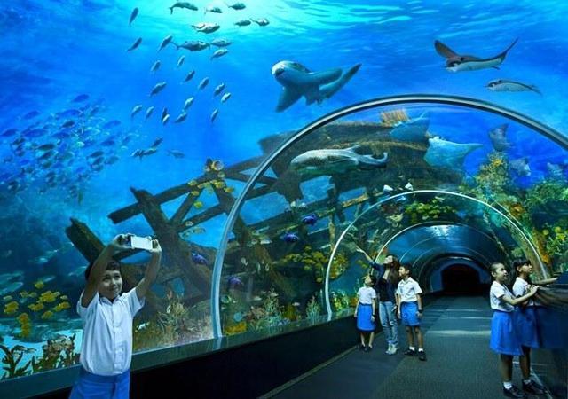 世界十大水族馆，最大的在中国，你一定想去看看