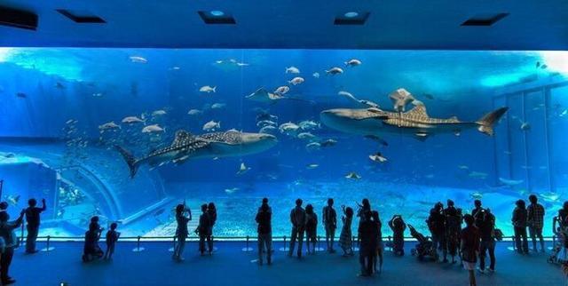 世界十大水族馆，最大的在中国，你一定想去看看