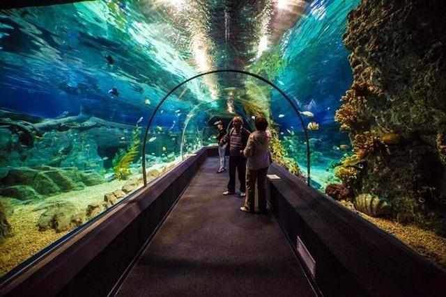 世界十大水族馆，最大的在中国，你一定想去看看