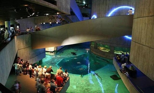 世界十大水族馆，最大的在中国，你一定想去看看