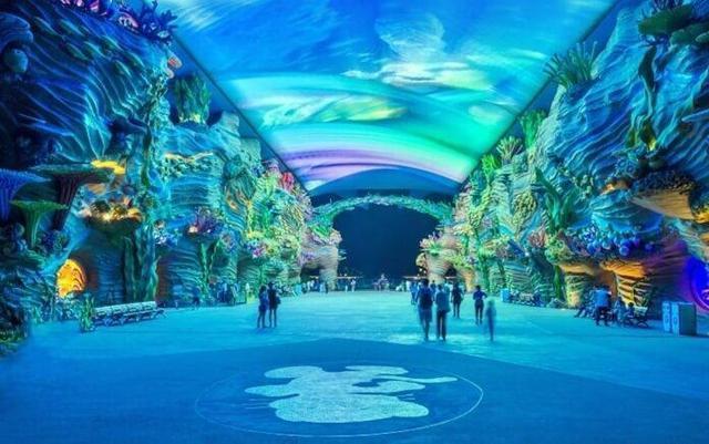 世界十大水族馆，最大的在中国，你一定想去看看