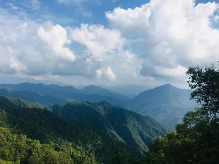 黄柏塬，秦岭南麓这种神仙居住的地方，我心向往~