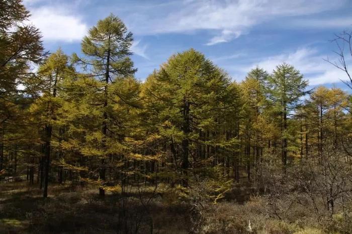 黄柏塬，秦岭南麓这种神仙居住的地方，我心向往~