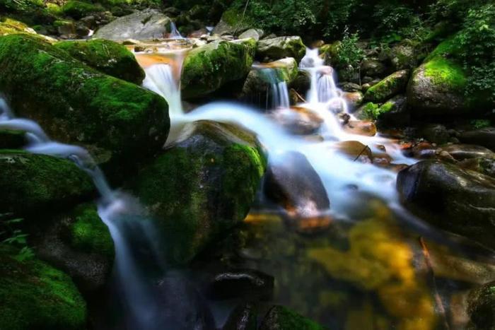 黄柏塬，秦岭南麓这种神仙居住的地方，我心向往~