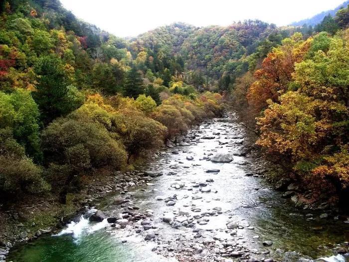 黄柏塬，秦岭南麓这种神仙居住的地方，我心向往~