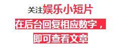 手机屏幕上可以养宠物了？！你们一定不知道……