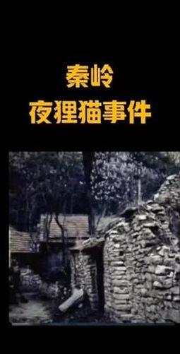 1987陕西夜狸猫事件（陕西秦岭夜狸猫）