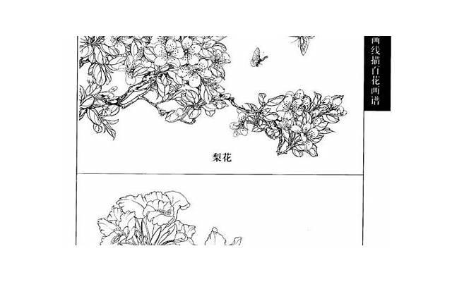 一生顺风顺水的三个生肖女，老公疼惜，子女孝心，贵人偏爱