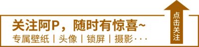 ​壁纸~316期丨你们最爱的呆萌猪小屁50张，藏起来慢慢看吧