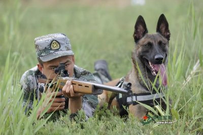 ​我国的军犬将使用最强高科技装备，成世界最强军队的最强的军犬